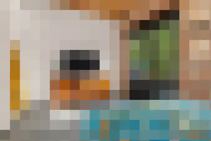 Kleine Veenkade 10 Den Haag thumbnail 31