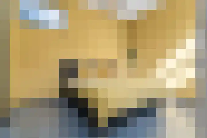 Kleine Veenkade 10 Den Haag thumbnail 38