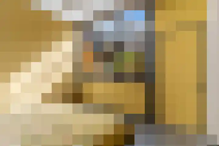 Kleine Veenkade 10 Den Haag thumbnail 39