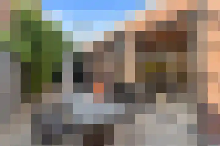 Kleine Veenkade 10 Den Haag thumbnail 43