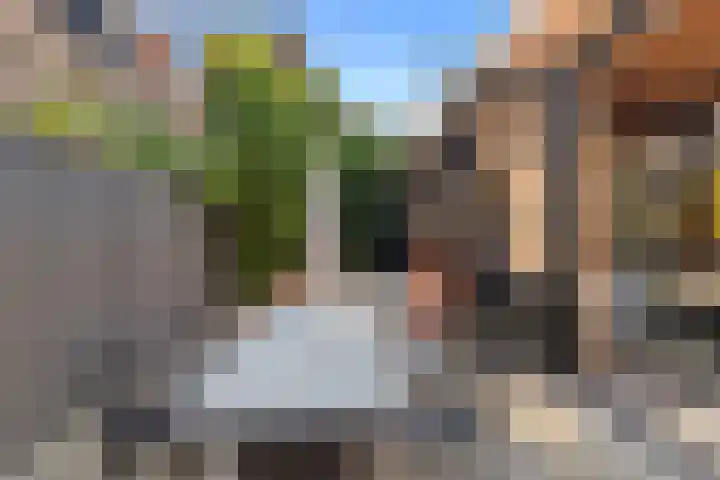 Kleine Veenkade 10 Den Haag thumbnail 44