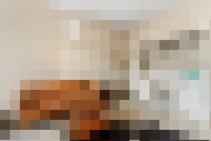 Kleine Veenkade 10 Den Haag thumbnail 53