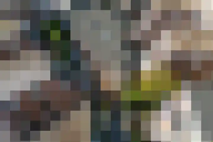 Kleine Veenkade 10 Den Haag thumbnail 6