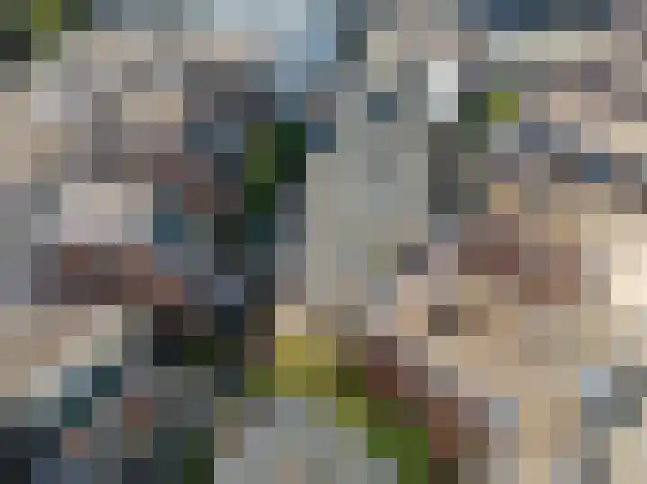 Kleine Veenkade 10 Den Haag thumbnail 7