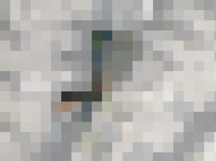 Kleine Veenkade 10 Den Haag thumbnail 8