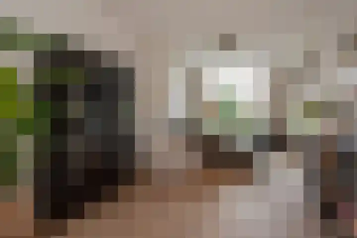 Kleine Veenkade 20 Den Haag thumbnail 10