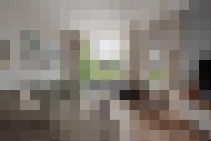 Kleine Veenkade 20 Den Haag thumbnail 11