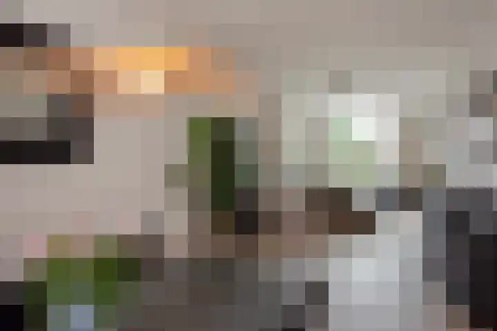 Kleine Veenkade 20 Den Haag thumbnail 12