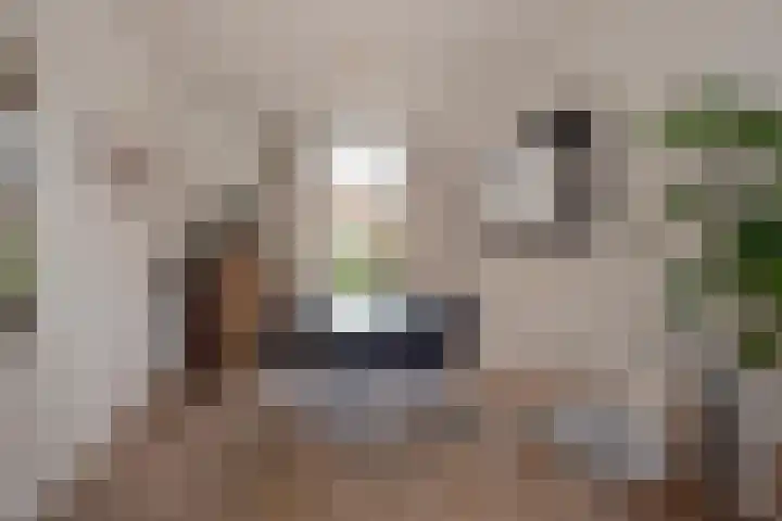 Kleine Veenkade 20 Den Haag thumbnail 13