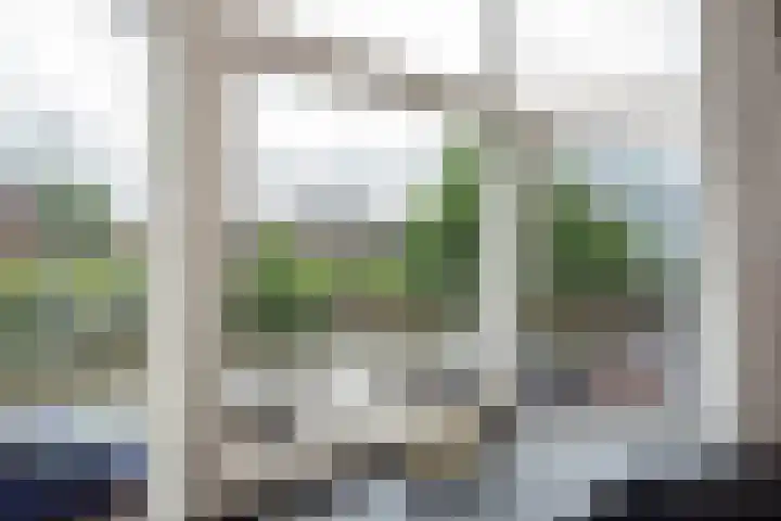 Kleine Veenkade 20 Den Haag thumbnail 14