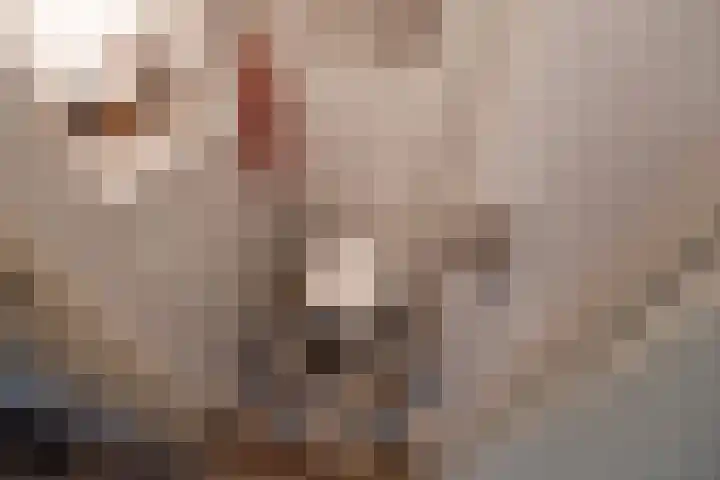Kleine Veenkade 20 Den Haag thumbnail 15
