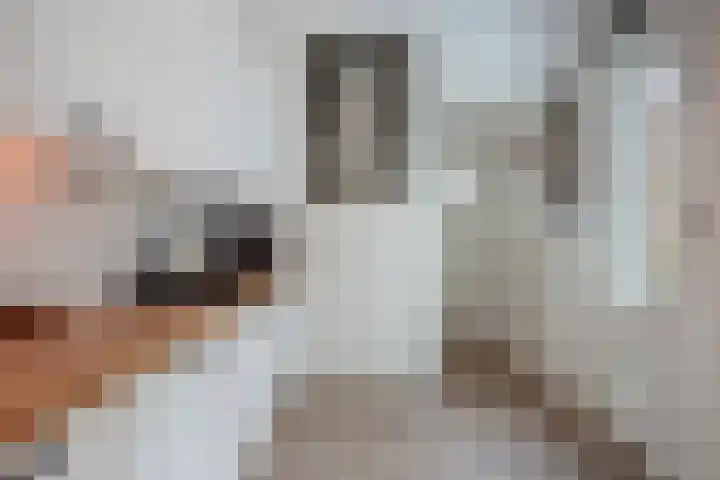 Kleine Veenkade 20 Den Haag thumbnail 19