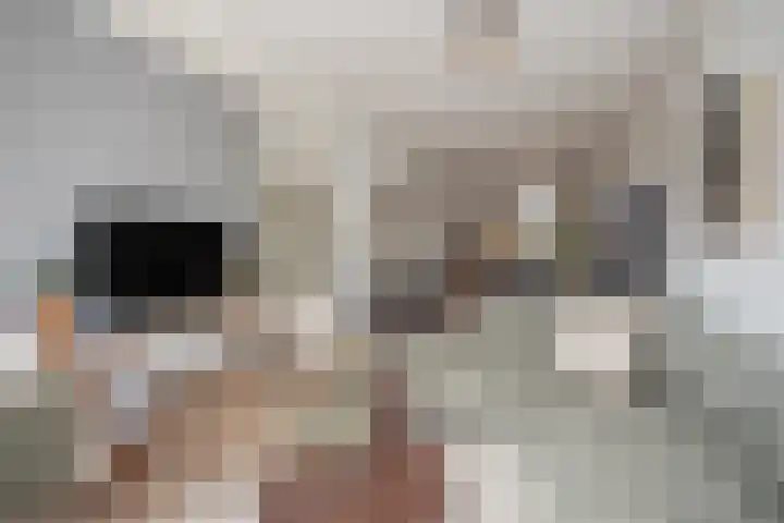 Kleine Veenkade 20 Den Haag thumbnail 7