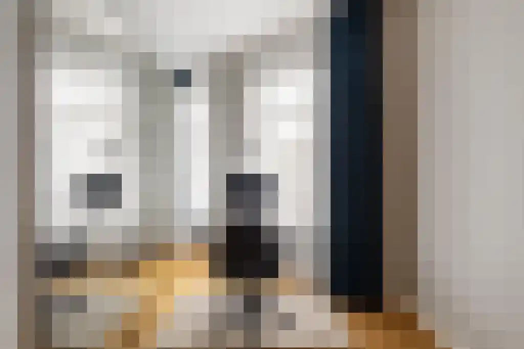 Kleine Veenkade 40 Den Haag thumbnail 25