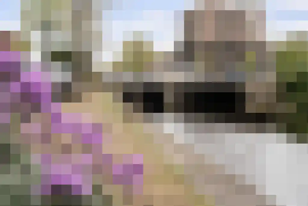Kleine Veenkade 40 Den Haag thumbnail 34