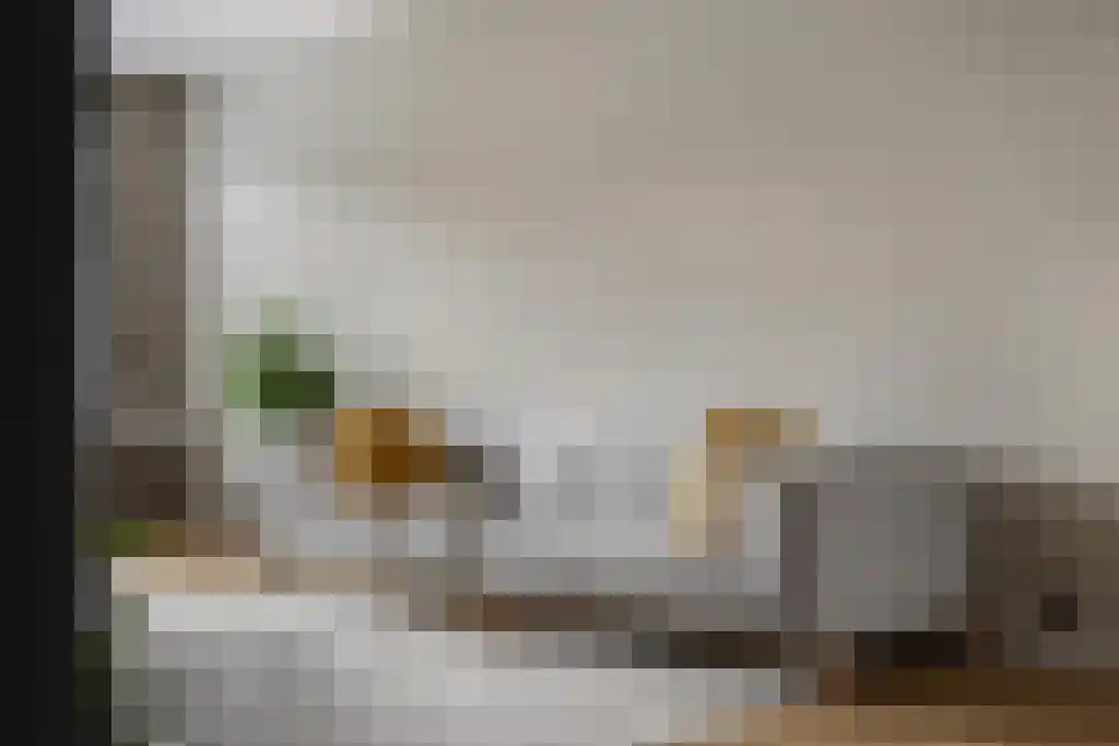 Kleine Veenkade 40 Den Haag thumbnail 5