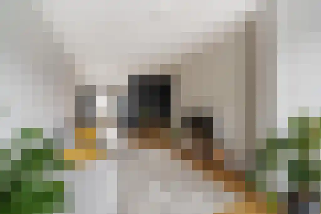 Kleine Veenkade 40 Den Haag thumbnail 6