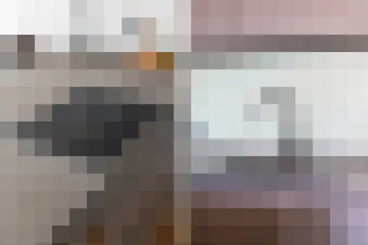 Kleine Veenkade 42 Den Haag thumbnail 10