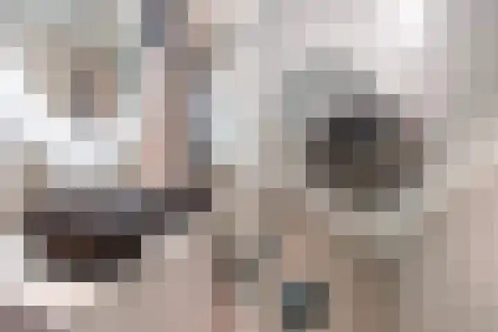 Kleine Veenkade 42 Den Haag thumbnail 15