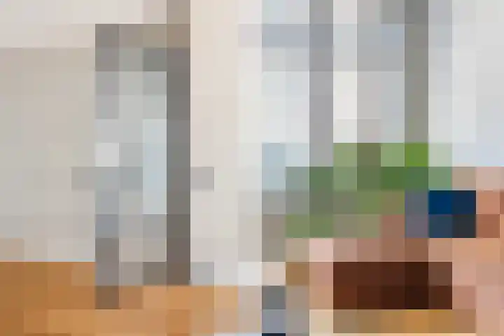 Kleine Veenkade 42 Den Haag thumbnail 5