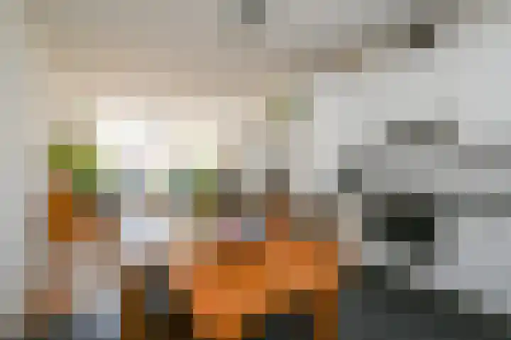 Kleine Veenkade 51 Den Haag thumbnail 7