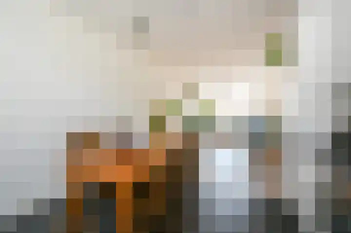 Kleine Veenkade 51 Den Haag thumbnail 8