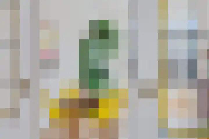 Kleine Veenkade 54 Den Haag thumbnail 12