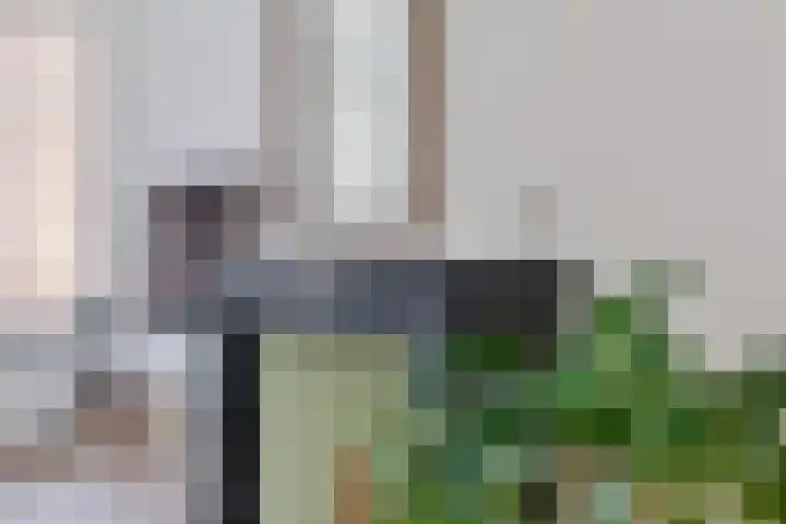 Kleine Veenkade 54 Den Haag thumbnail 16