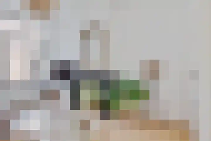 Kleine Veenkade 54 Den Haag thumbnail 17