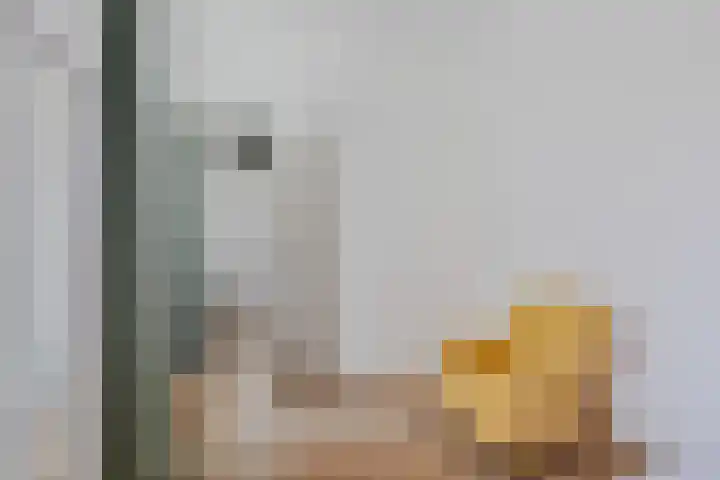 Kleine Veenkade 54 Den Haag thumbnail 24