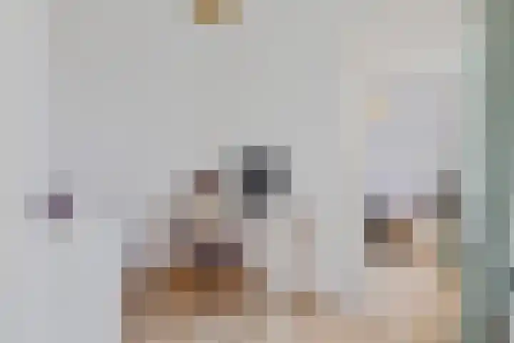 Kleine Veenkade 54 Den Haag thumbnail 26