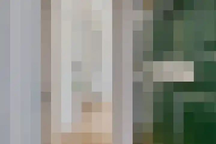 Kleine Veenkade 54 Den Haag thumbnail 29