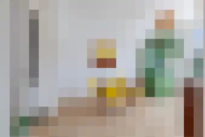 Kleine Veenkade 54 Den Haag thumbnail 5