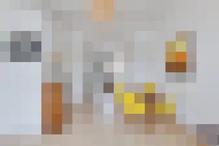 Kleine Veenkade 54 Den Haag thumbnail 9