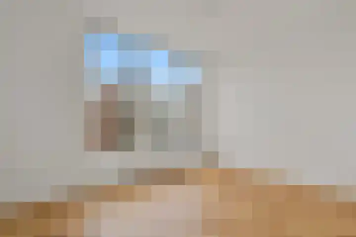 Kleine Veenkade 6 A Den Haag thumbnail 17