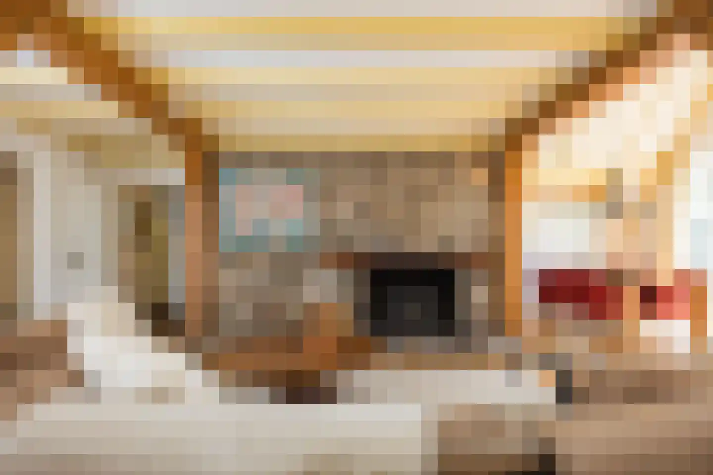 Kleine Veerweg 14 Zwolle thumbnail 10