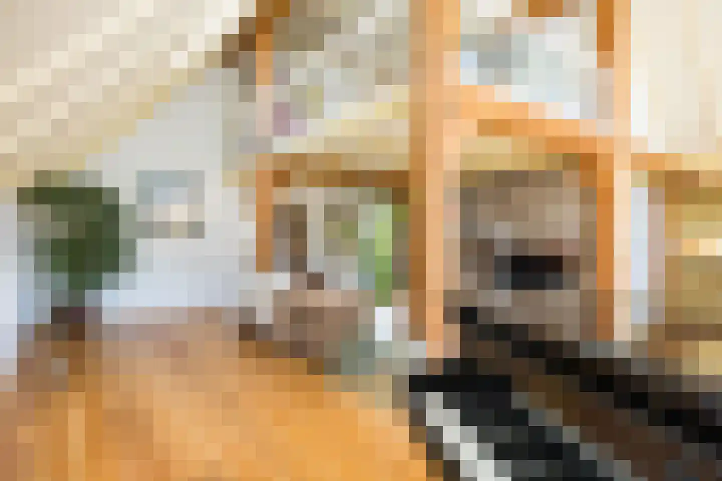 Kleine Veerweg 14 Zwolle thumbnail 12