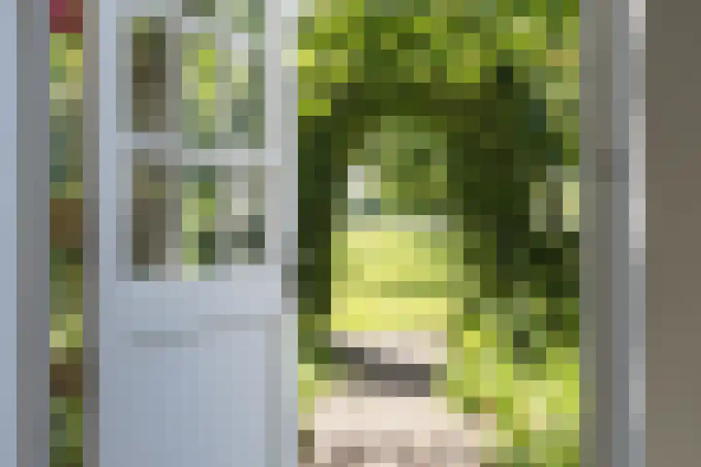 Kleine Veerweg 14 Zwolle thumbnail 23