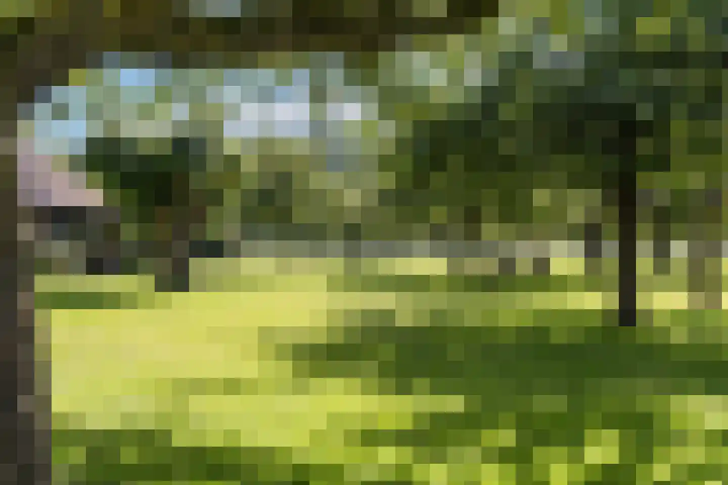 Kleine Veerweg 14 Zwolle thumbnail 27