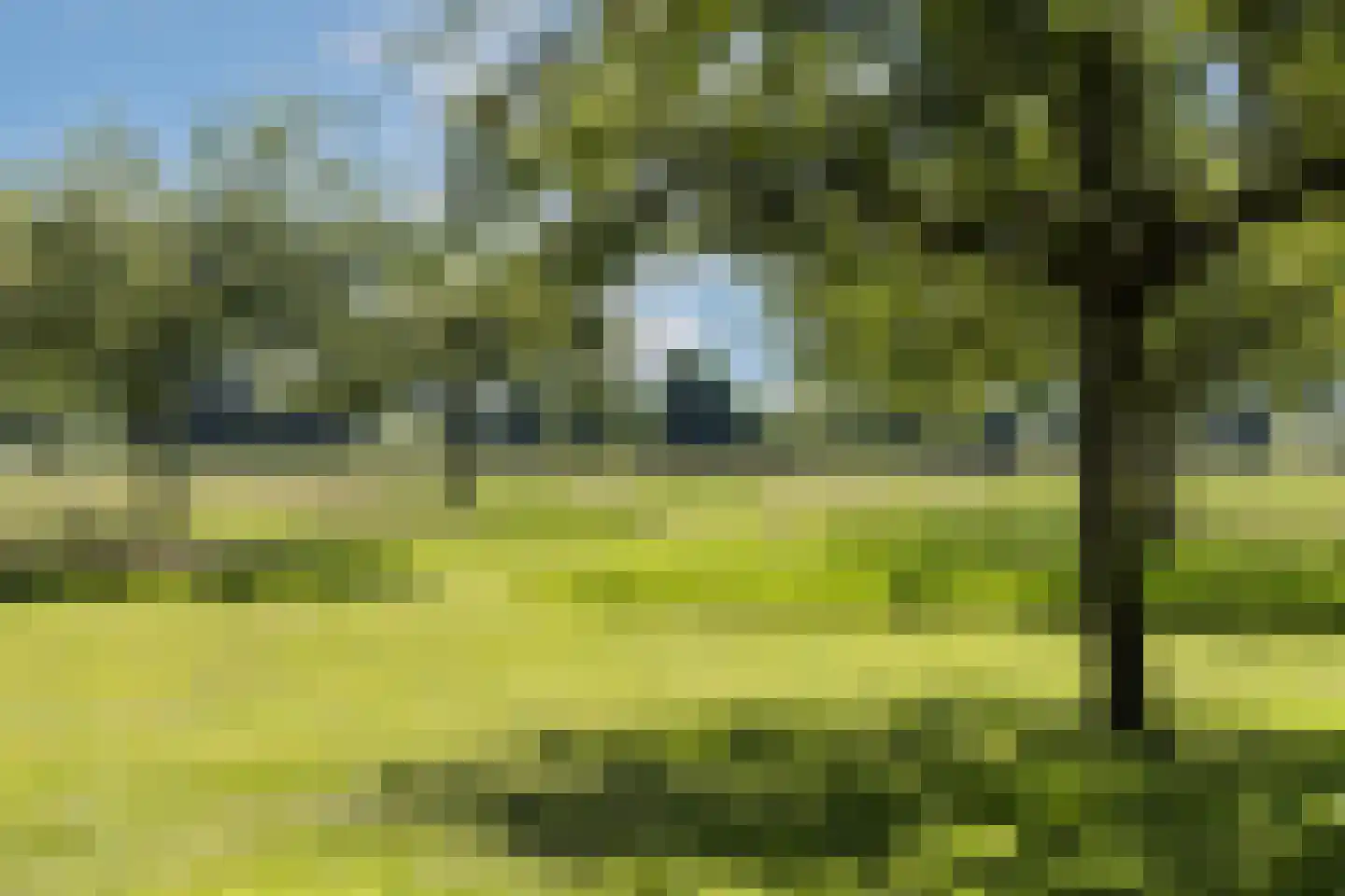 Kleine Veerweg 14 Zwolle thumbnail 28