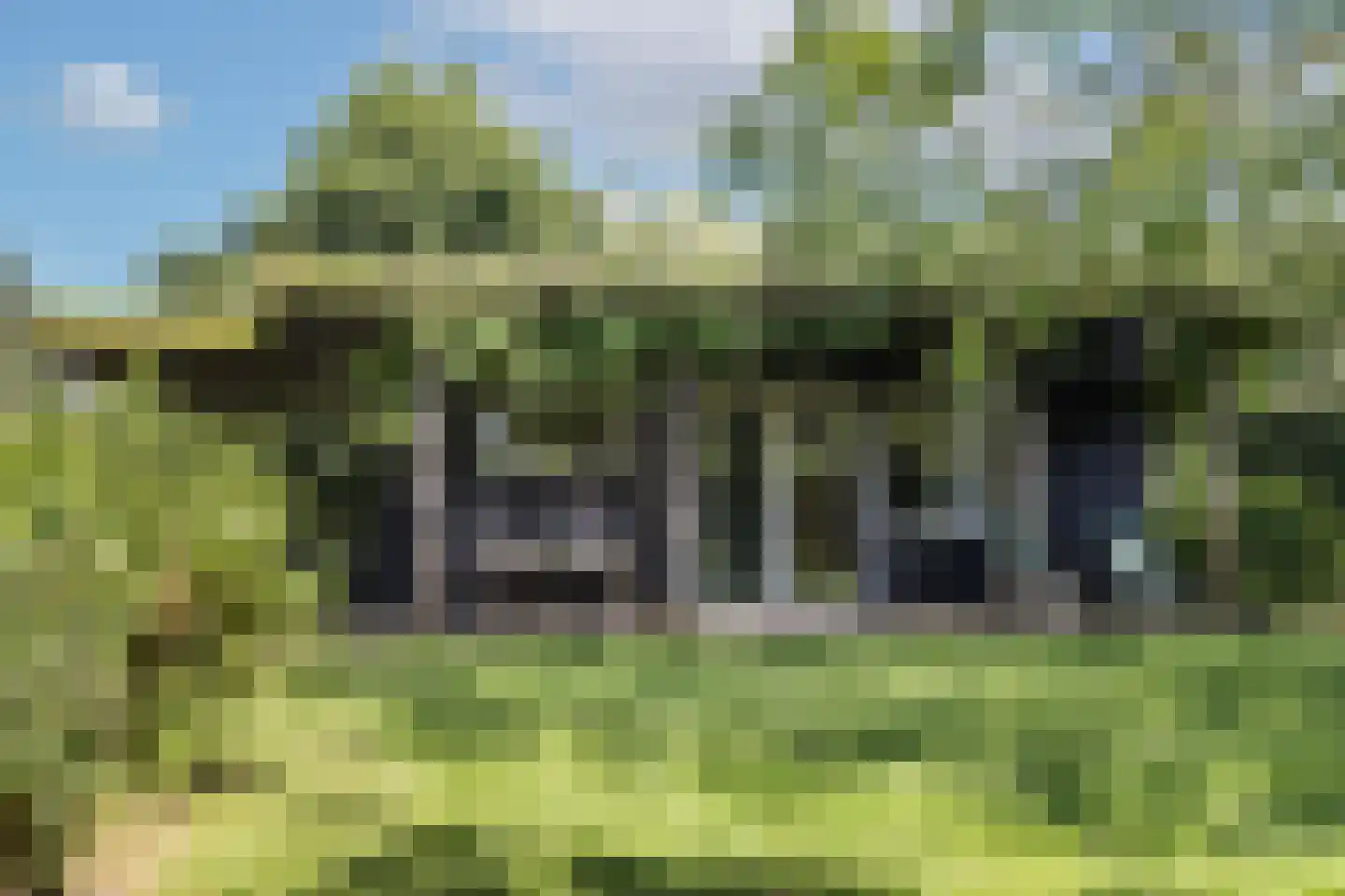 Kleine Veerweg 14 Zwolle thumbnail 29