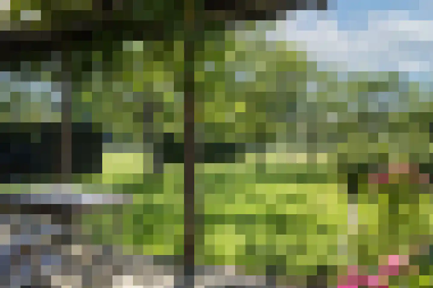 Kleine Veerweg 14 Zwolle thumbnail 30