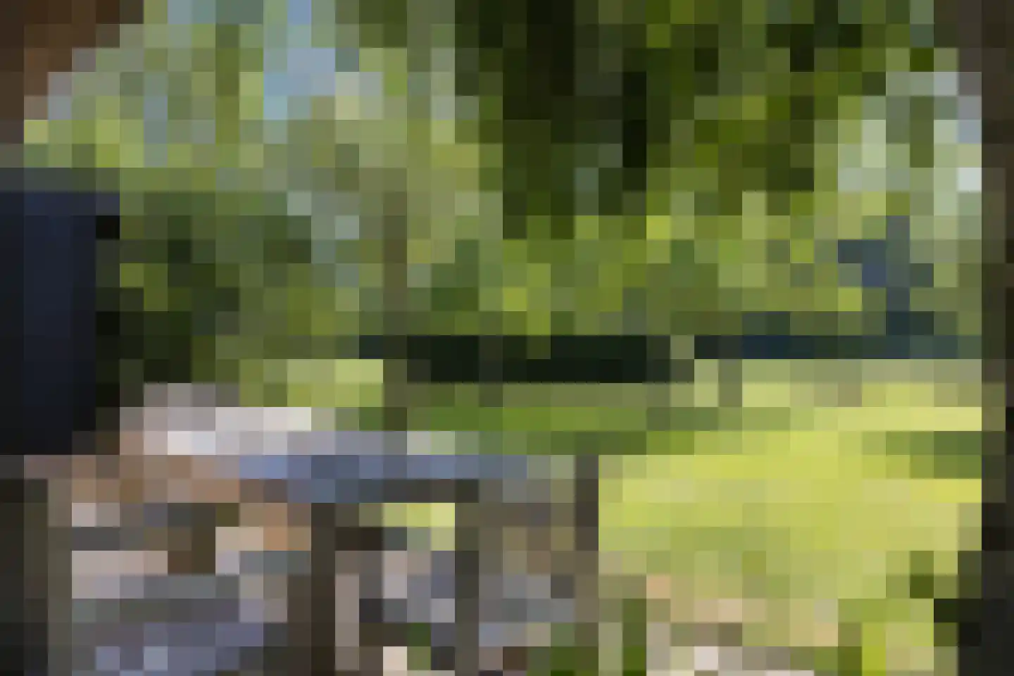 Kleine Veerweg 14 Zwolle thumbnail 32