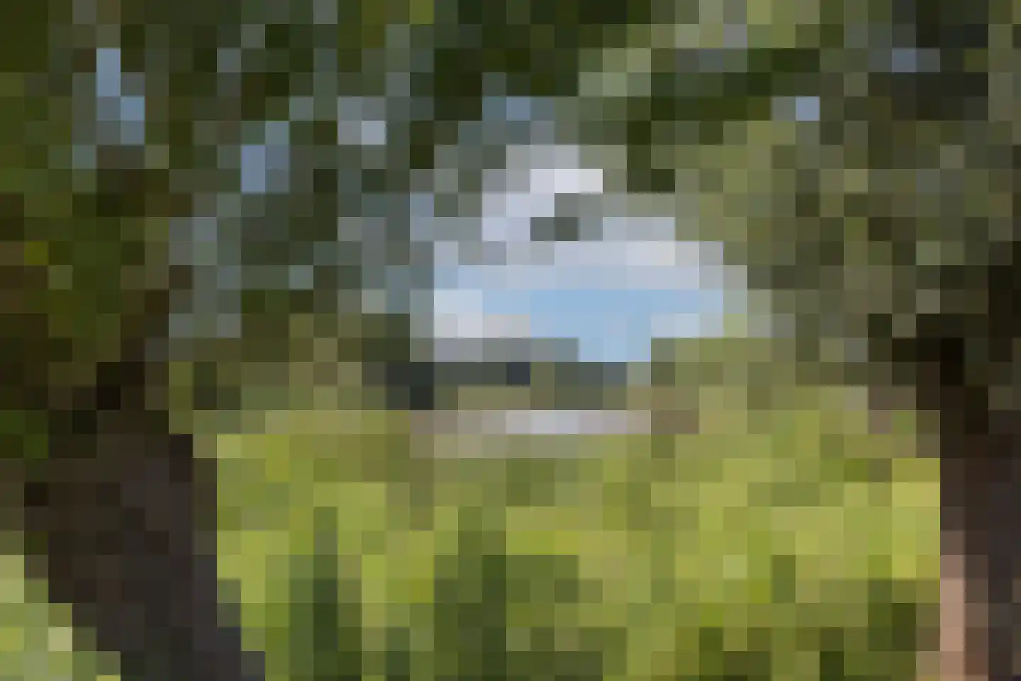 Kleine Veerweg 14 Zwolle thumbnail 33