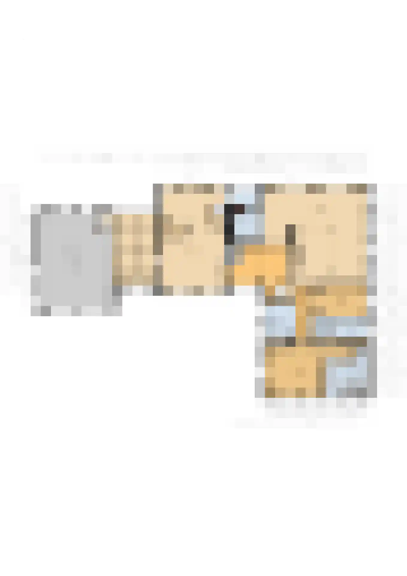 Kleine Veerweg 14 Zwolle thumbnail 44