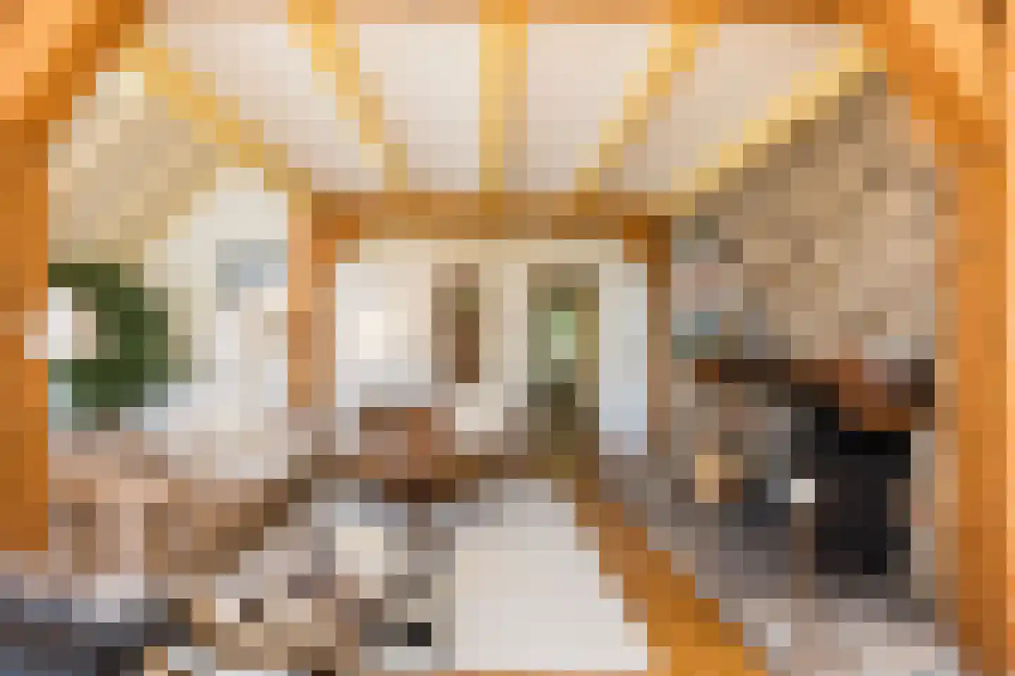Kleine Veerweg 14 Zwolle thumbnail 8