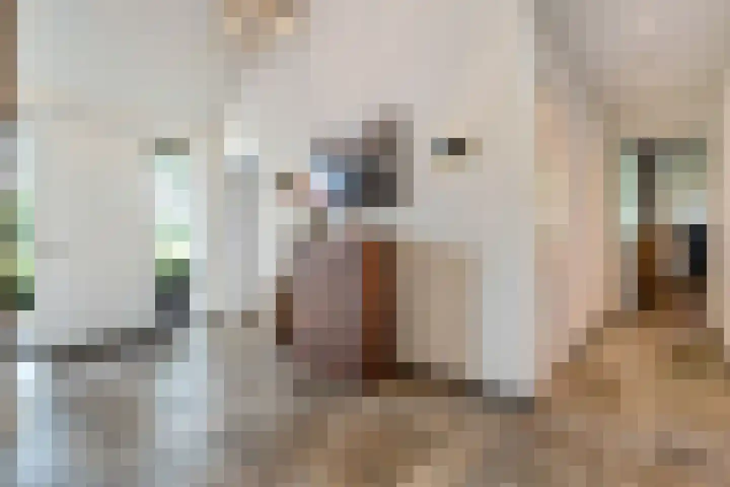 Kleine Veerweg 8 Zwolle thumbnail 10