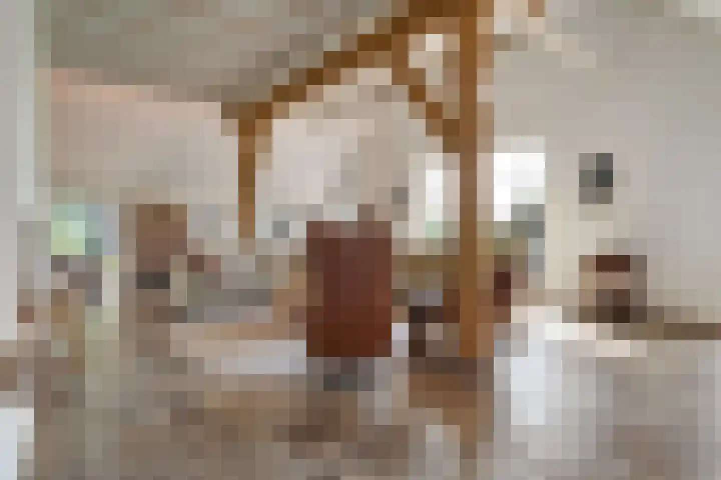 Kleine Veerweg 8 Zwolle thumbnail 11