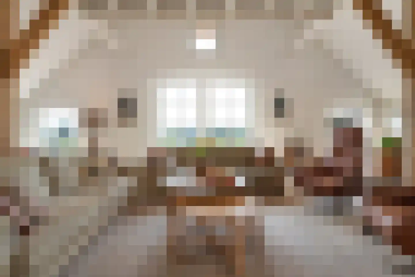 Kleine Veerweg 8 Zwolle thumbnail 13