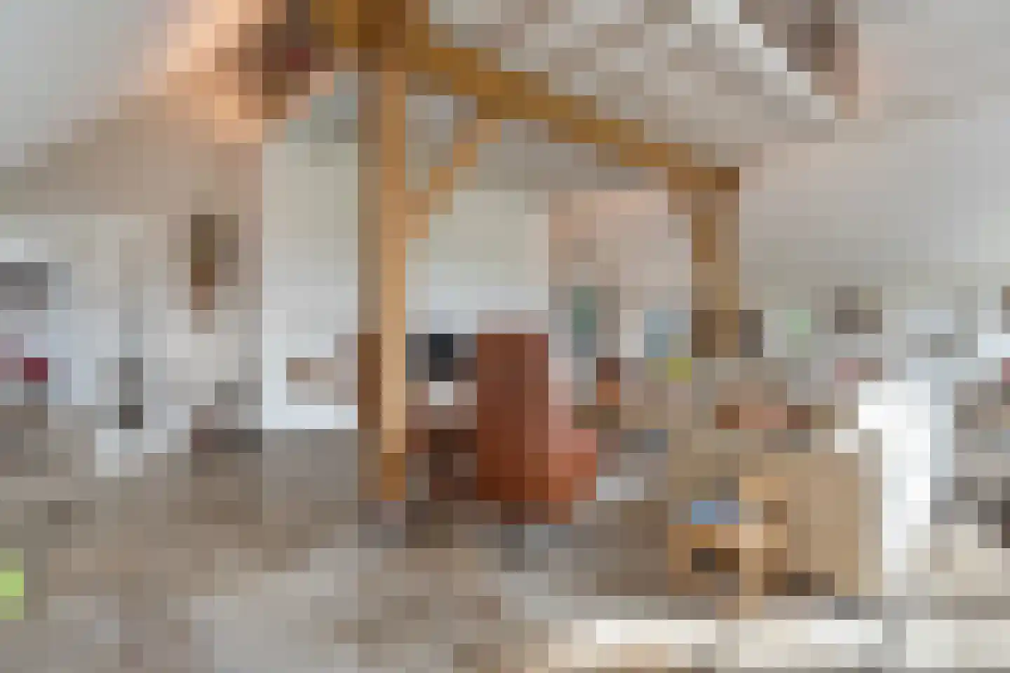 Kleine Veerweg 8 Zwolle thumbnail 15